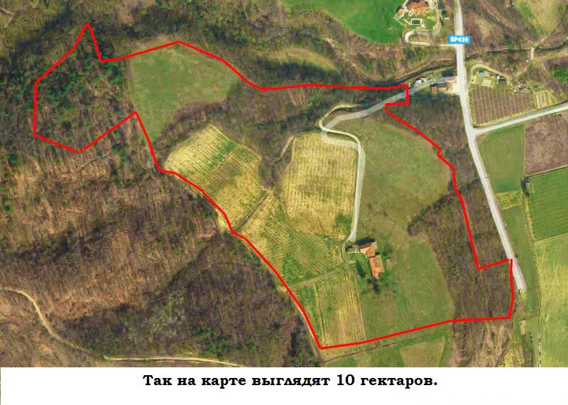 Переведите свои 6 соток в гектар (то есть десятину)1 из 2


