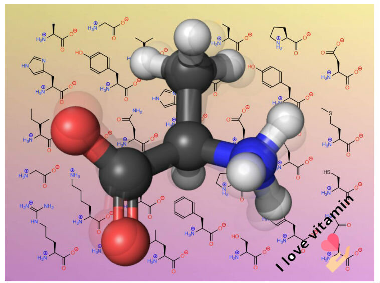 Карнозин действует как водорастворимый антиоксидант, помогая защищать клетки и выводить токсины из организма
