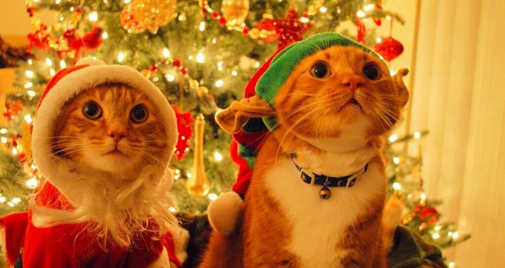 Источник фото: fullhdoboi.ru