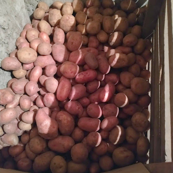 6 соток. Светлана Аниканова