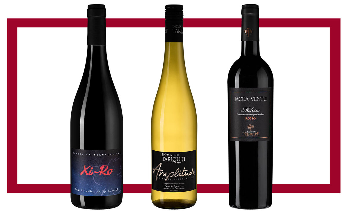 Слева направо: Ktima Ligas XI-RO; Domaine Tariquet Amplitude 2018; La Pizzuta del Principe Jacca Ventu Melissa 2016