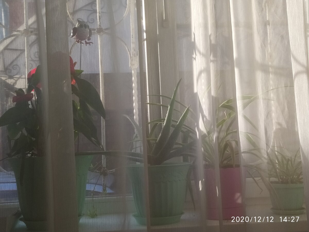 Фото Xiaomi Redmi Note 8T (сделано при двукратном увеличении)