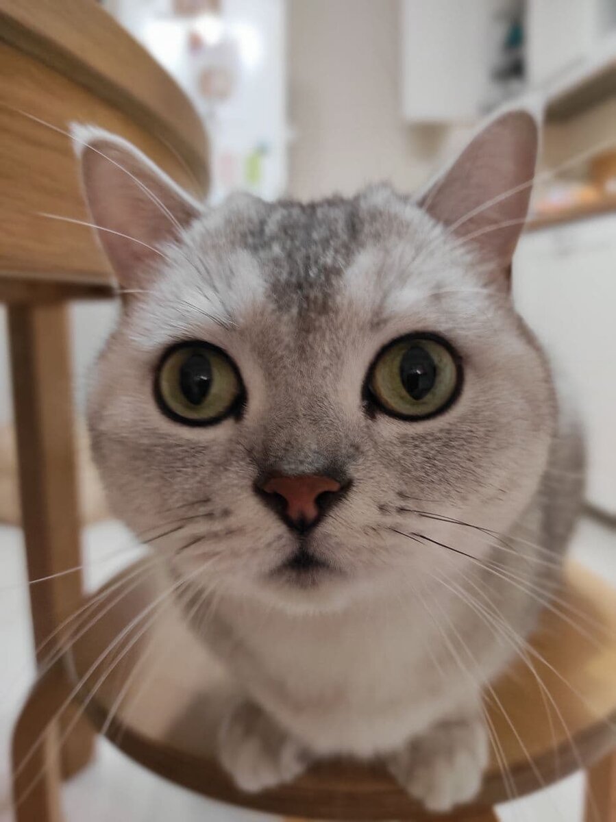 Есть ли жизнь на Марсе??