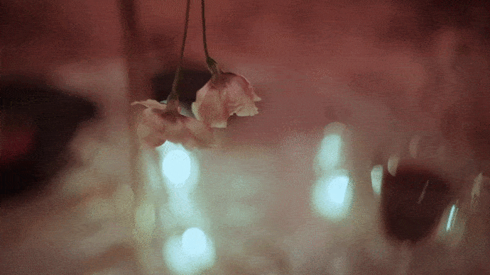 Ужин при свечах на свадьбе для двоих