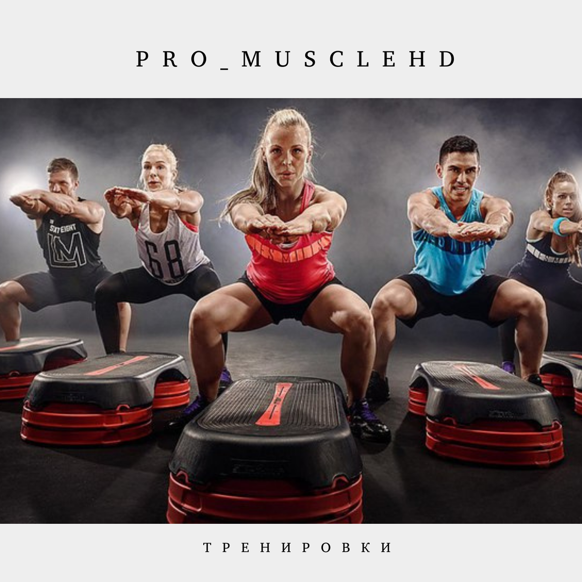 Pro_MuscleHD