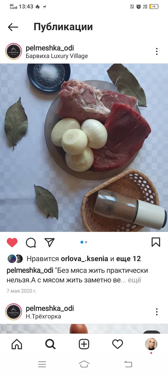 Мясо из ближайшего "Халяль" , лук из мягнита ,мука из вкусвилл