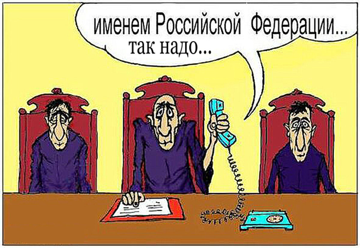 ЭТО НАШИ СУДЫ.
