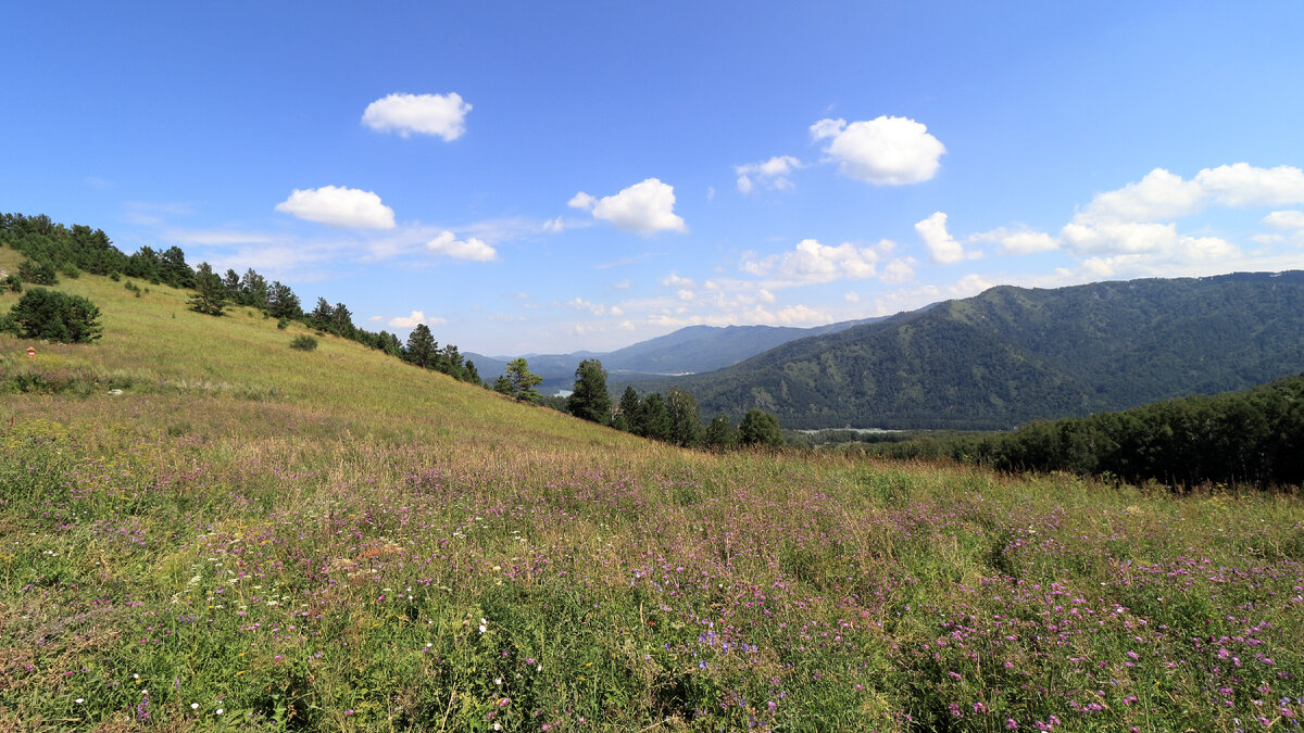Вид с верхней точки перевала в сторону Катуни.