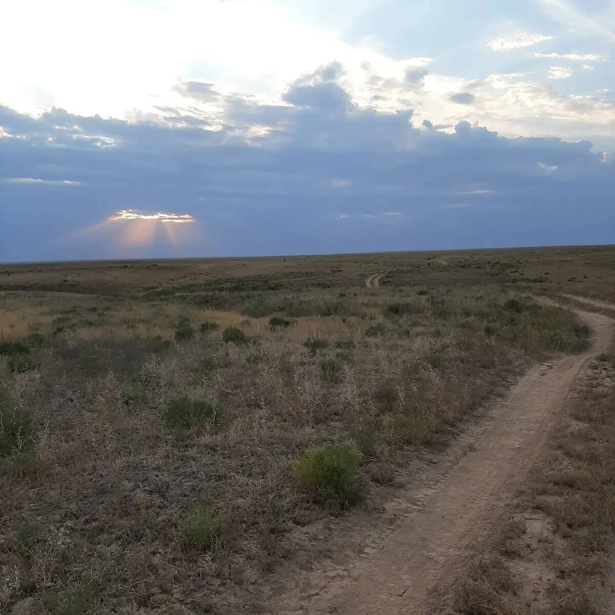 Королевская дорога в бессознательное. 