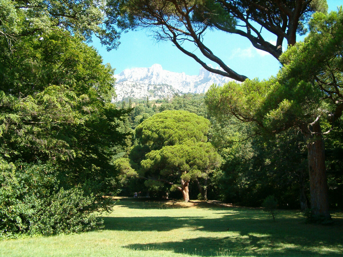 Источник: крым-сочи.рф