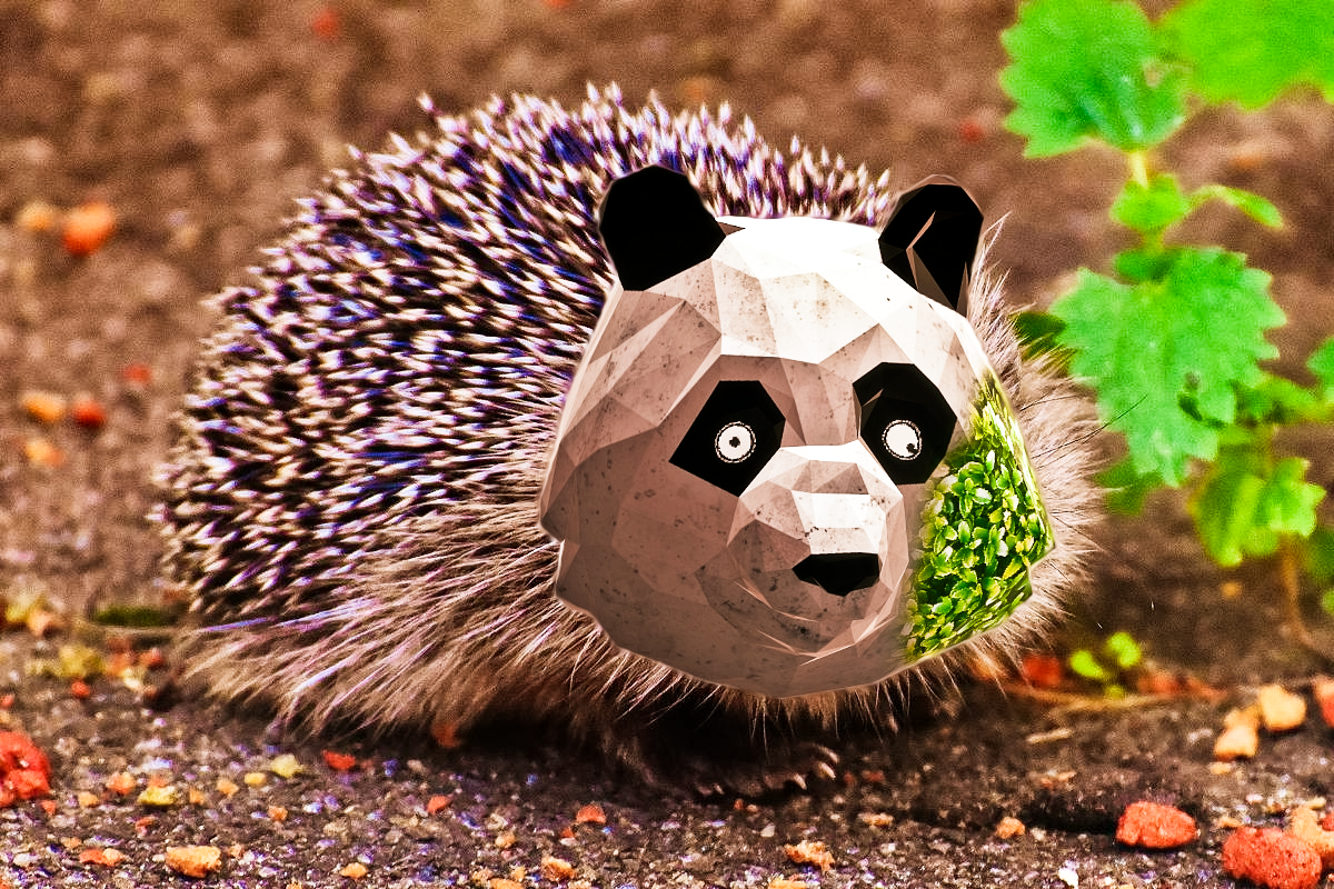 Когда надоело быть ежом: