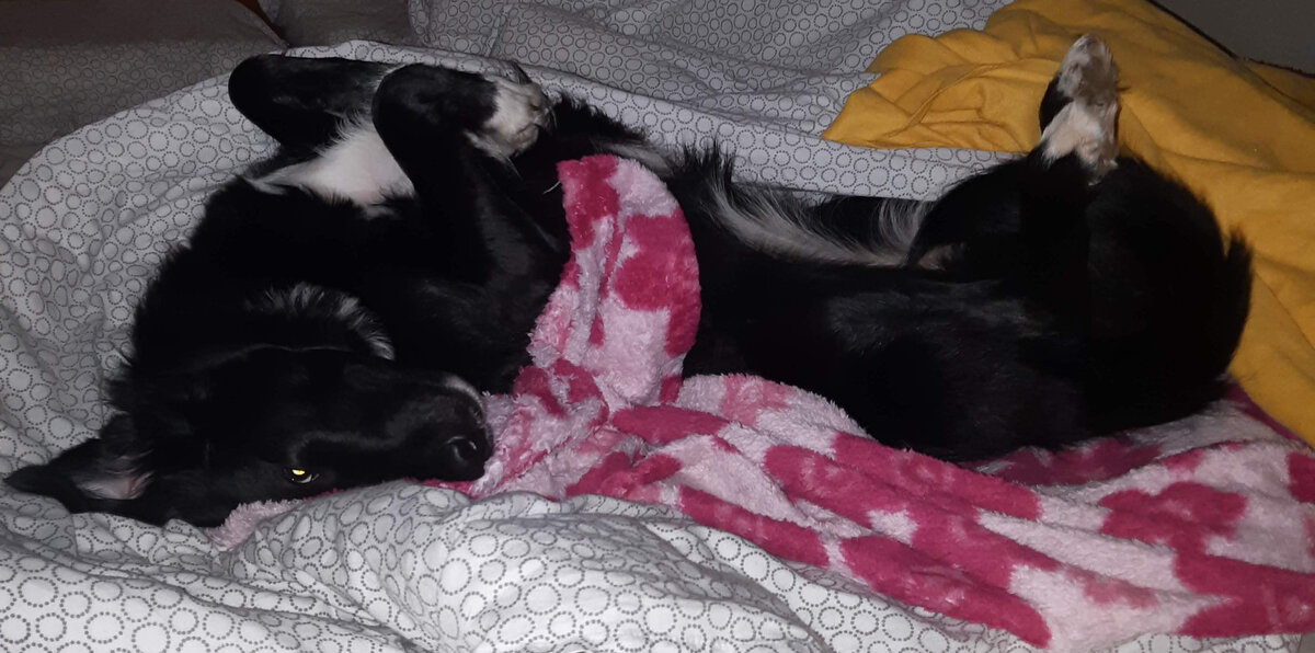 Личное фото автора