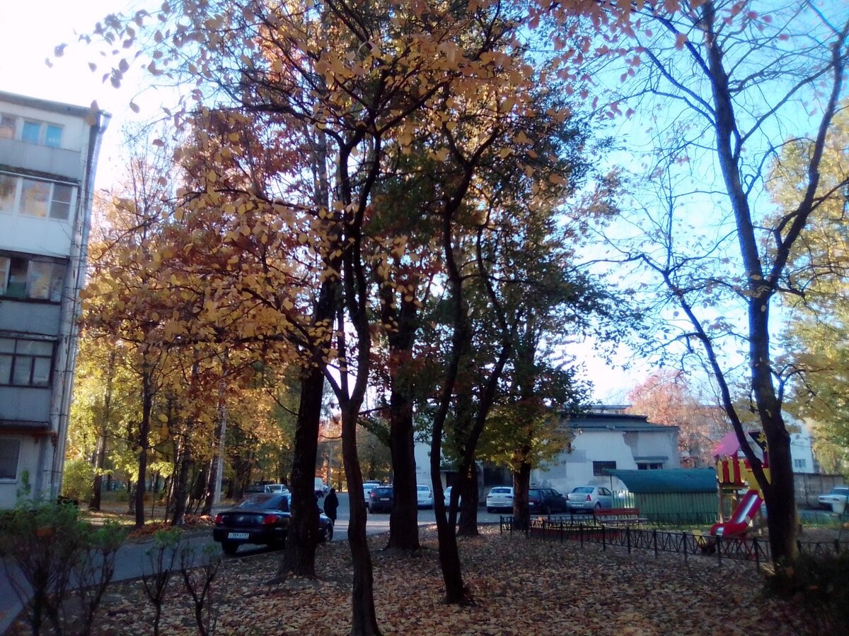 Наш городок