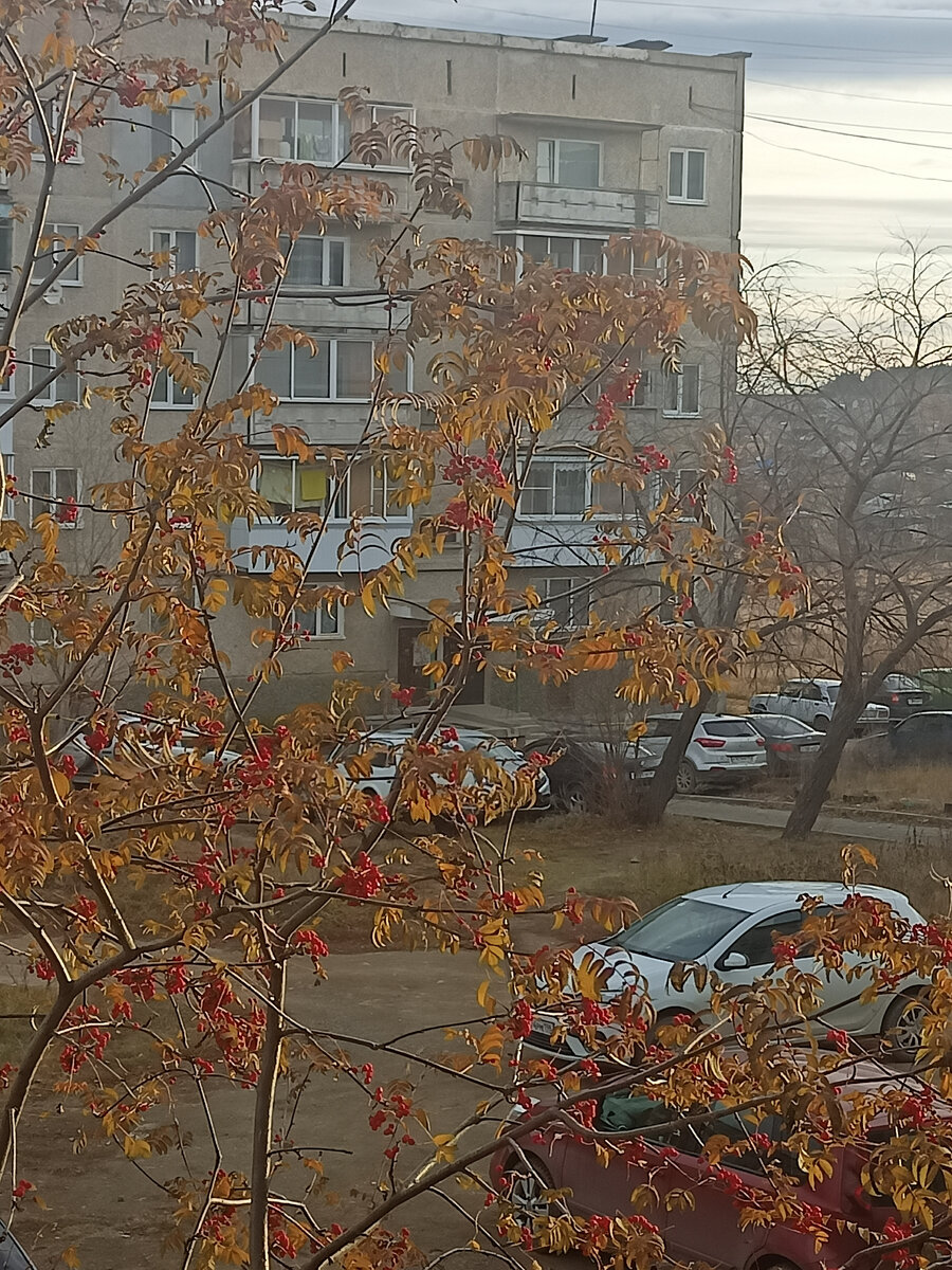 Просто осеннее фото, вид из окна