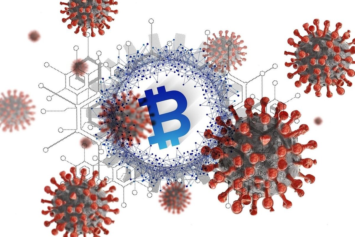 Яндекс. Картинки