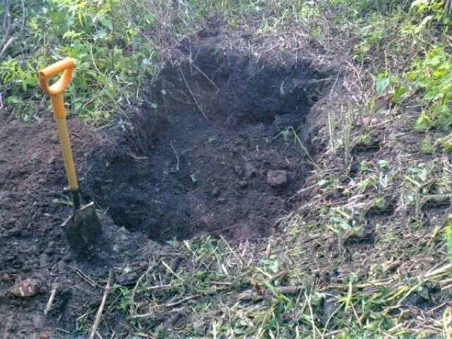 Начальное место раскопа. 