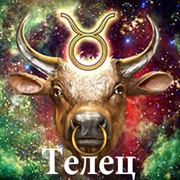 Источник Яндекс картинки