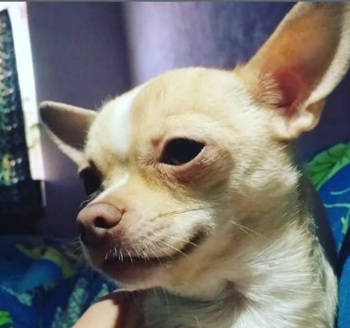 фото из личного архива