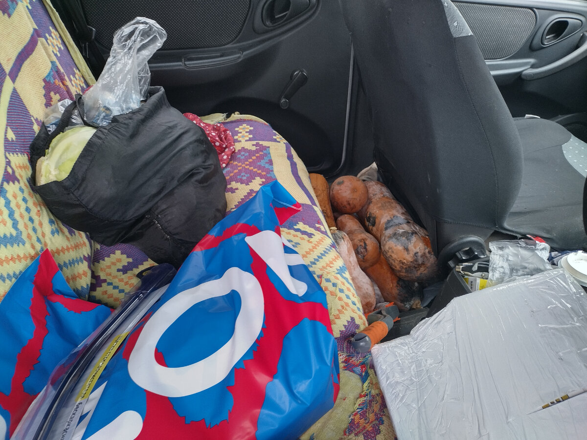 И еще тыквы