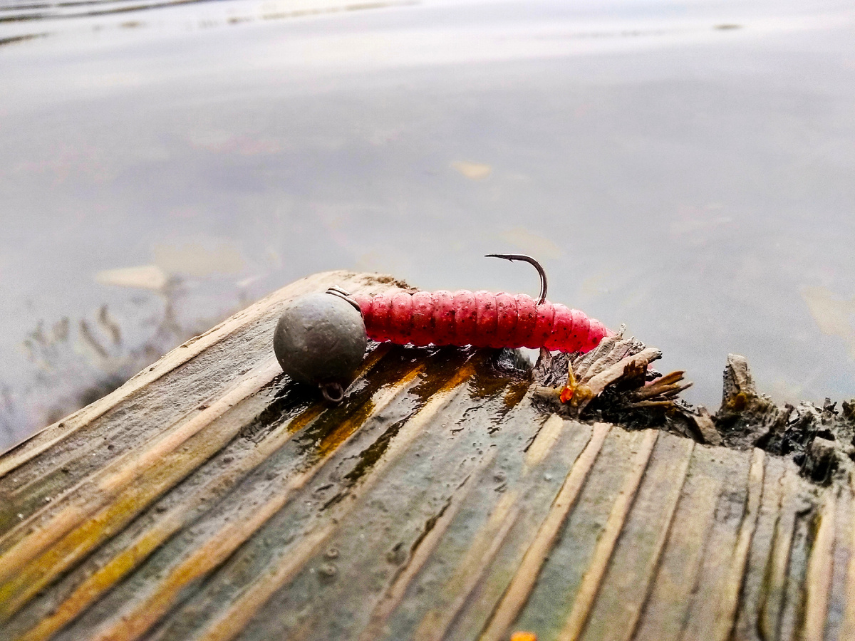 Baith Breath Curly Grub