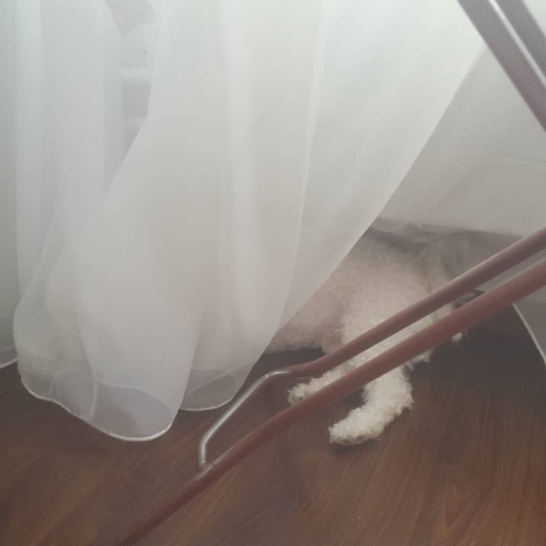 Украл батон хлеба