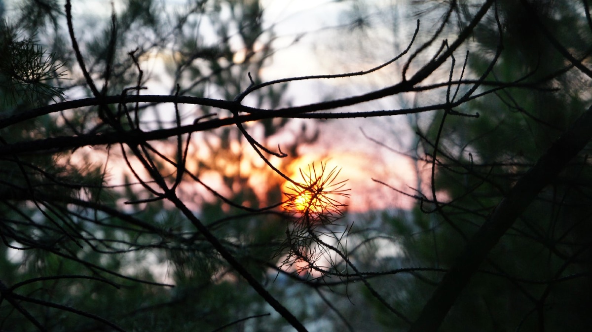 Всё ещё будет