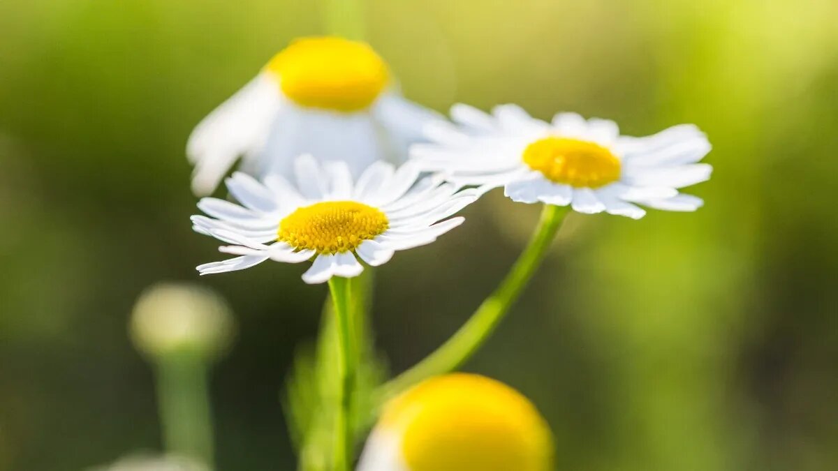 Даже в выходные проходят какие-то православные праздники. Фото: Pexels.com 