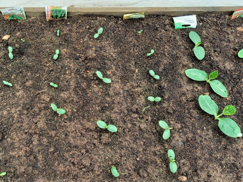 Из личного архива