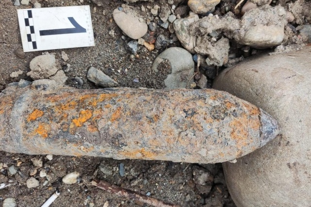    Фото: Росгвардия