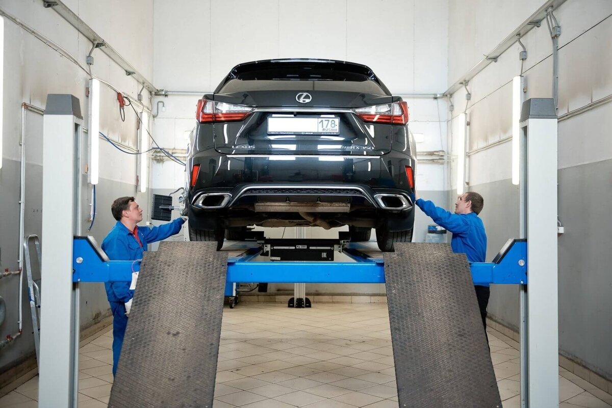 Фото из открытых источников 