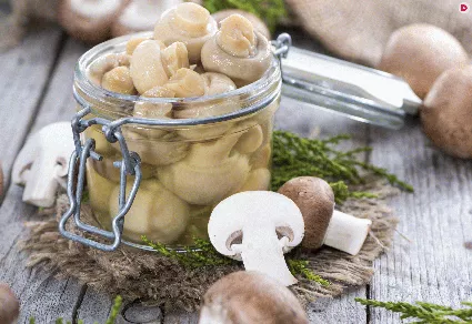Лето – отличное время для холодных закусок. Перед вами 3 проверенных рецепта, которые помогут разнообразить привычное меню.