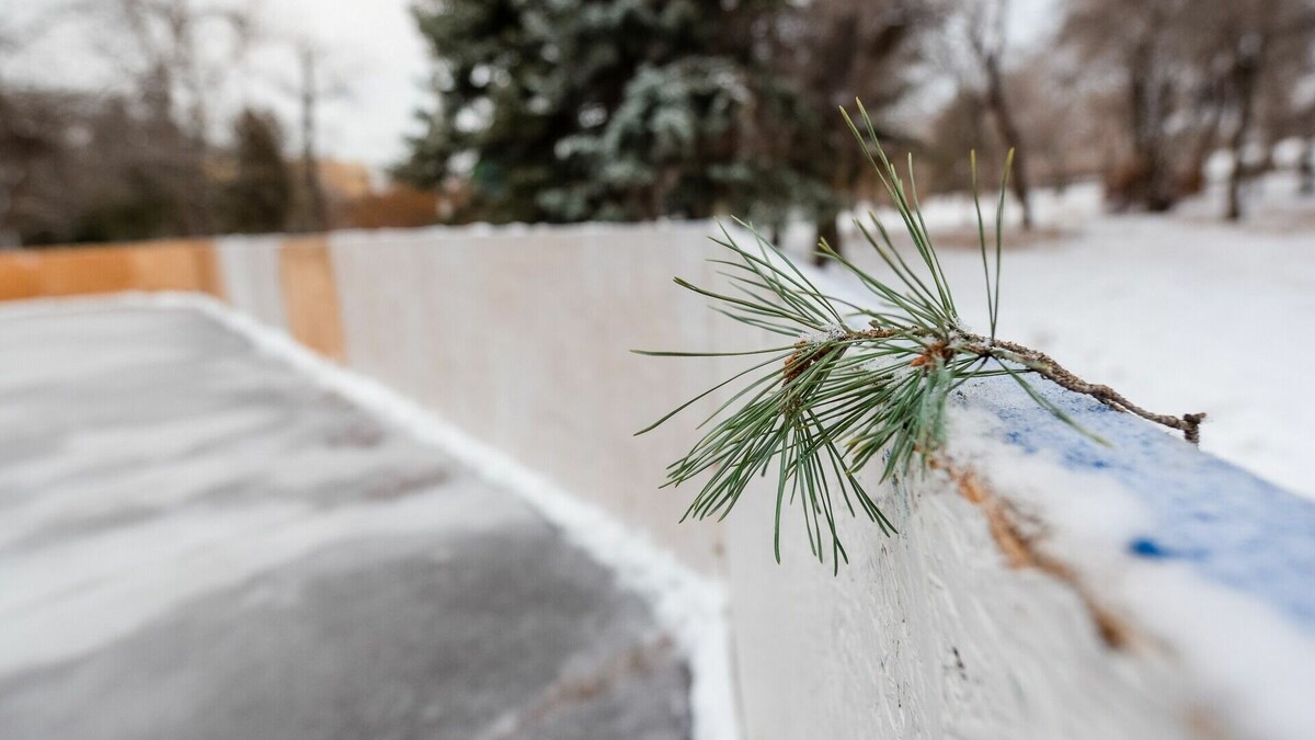     Ледовые катки зальют в пяти районах Нижнего Новгорода за 2,4 миллиона рублей. Такие данные опубликованы на портале госзакупок. Контракт уже заключили.