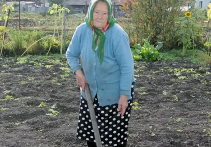 Добавьте описание