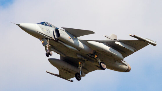    Украина и Швеция обсуждают возможность передачи истребителей Gripen Дарья Смирнова