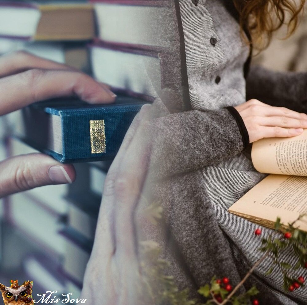 Удовольствие от книги можно получить не только во время прочтения, но и во время покупки. Хотя иногда случаются и странности. Коллаж автора