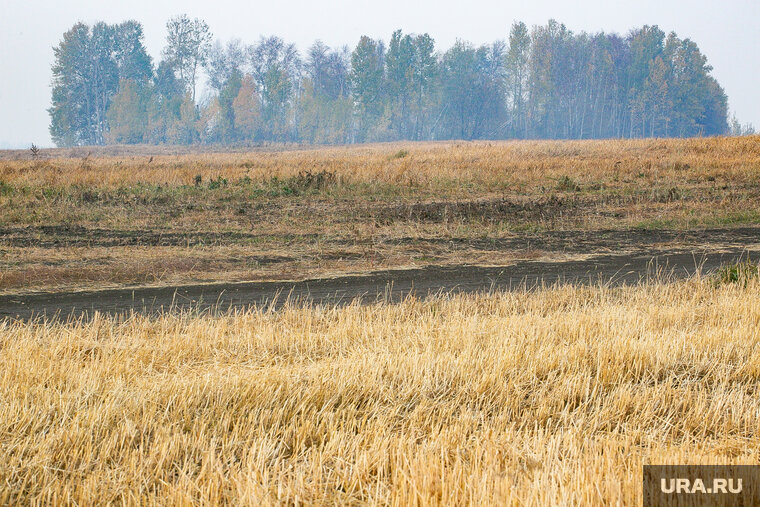    Сельчане недовольны тем, что на поля сбрасывают большие объемы удобрений — из-за чего множатся мухи