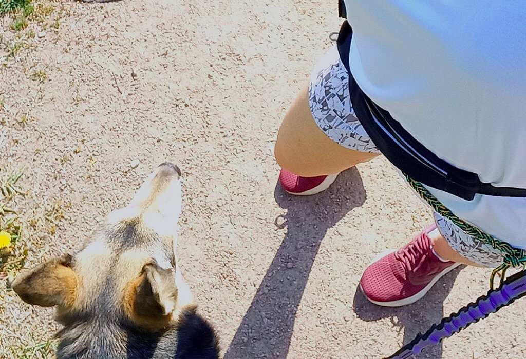 Ноги авторки, голова соавторки