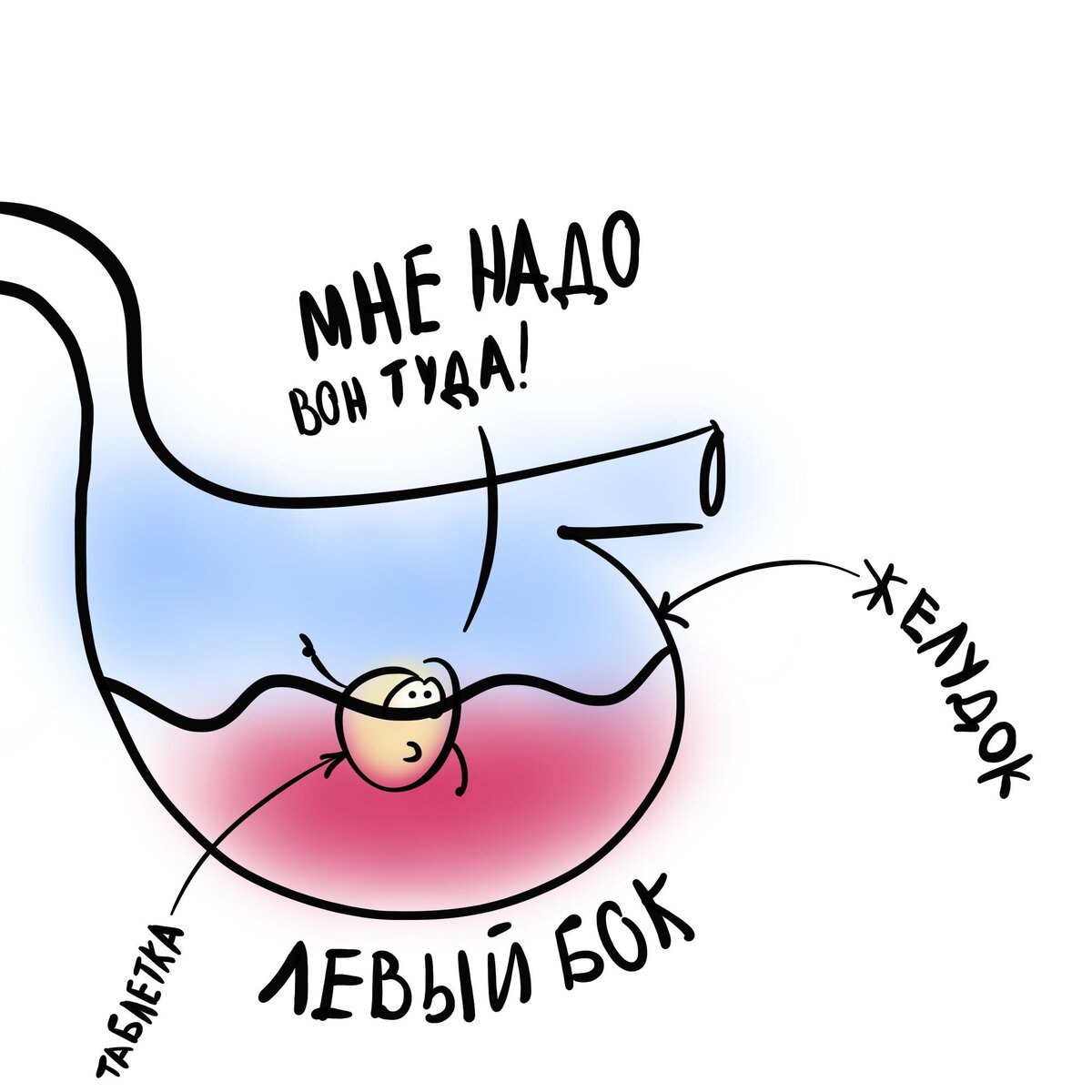 На каком боку нужно лежать, чтобы таблетка быстрее всосалась | Для ...