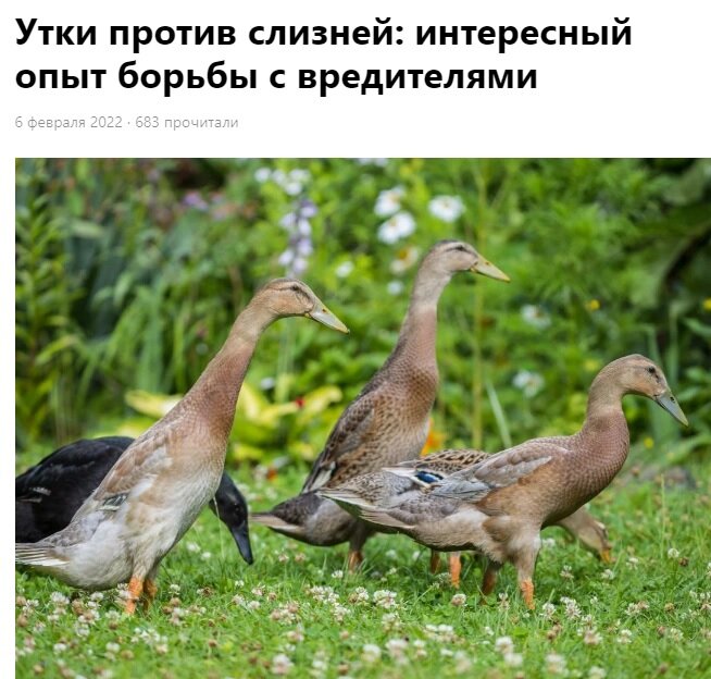 Вот те двое взяли след а остальные двое принюхиваються.