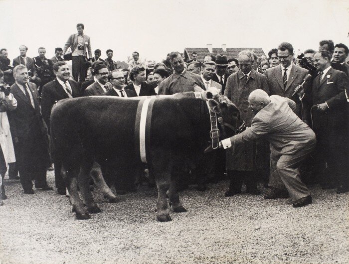 Еще чуднее совнархозов | Валерий Грачиков | Дзен