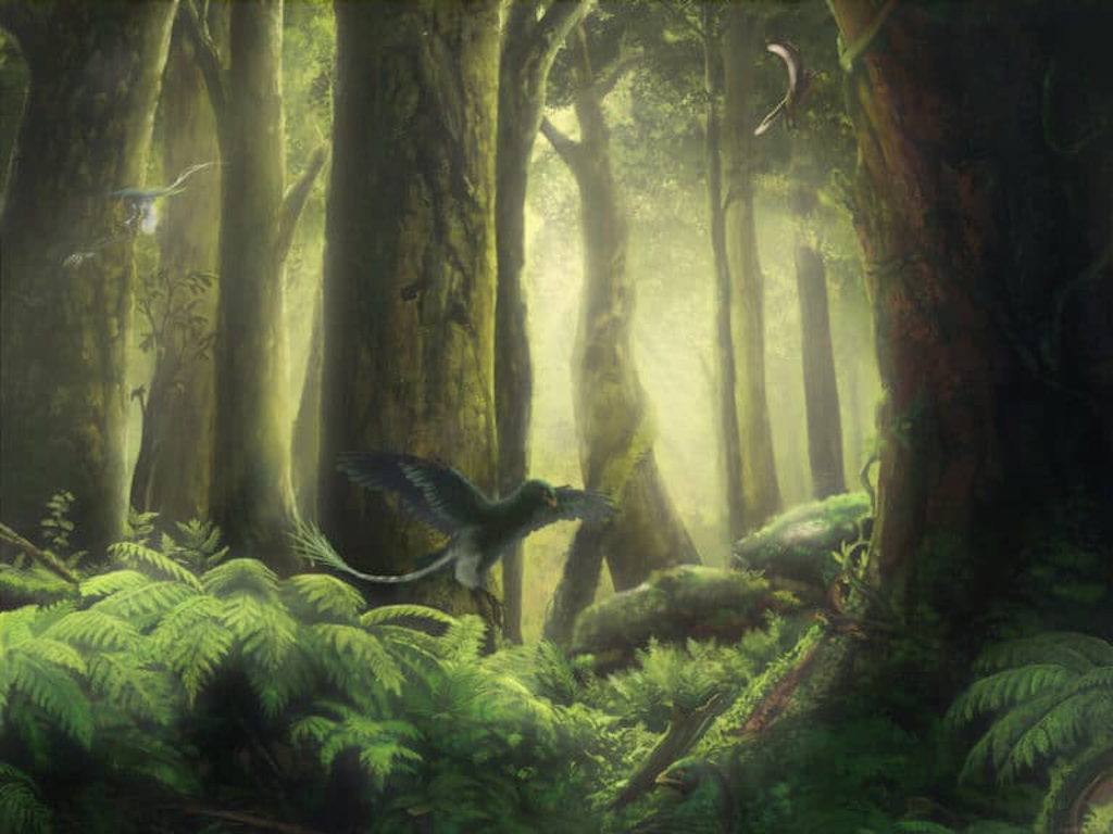 Или не так. Цвет перьев в окаменелостях не сохраняется поэтому реконструкторы любят всех ископаемых пернатых рисовать чёрными.