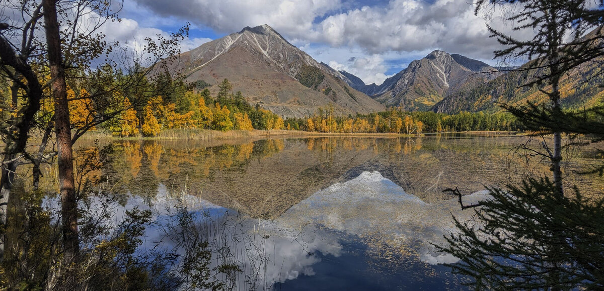 Фото Андрея Коротеева.