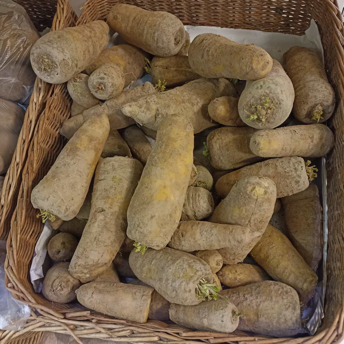 Морковь-картофель.