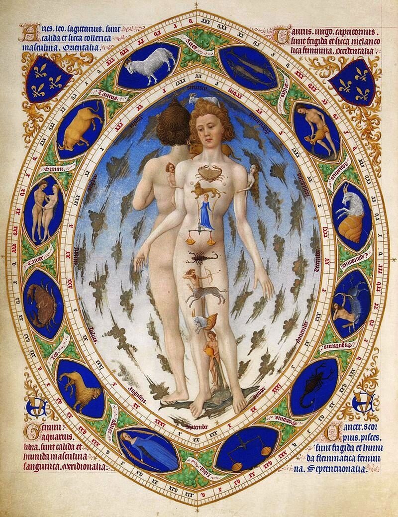 Средневековое изображение взаимосвязи знаков Зодиака с органами тела