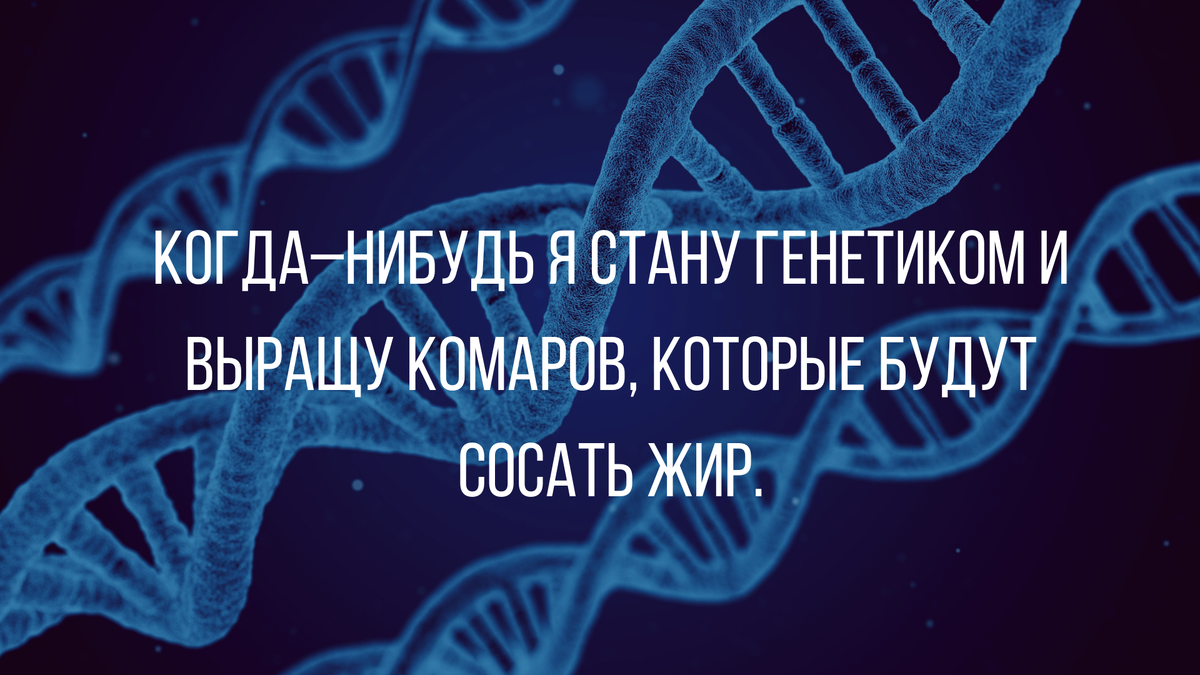 Я когда нибудь стану другим. Комары отсасывают жир шутка. Афоризмы про комара отсасывающий жир. Лучше бы комары жир отсасывали.