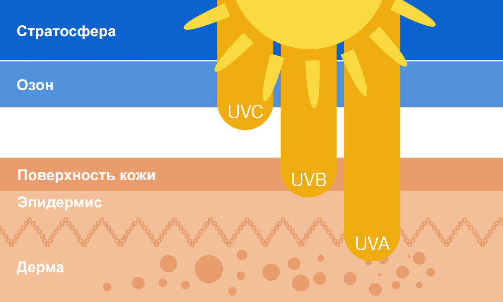 Какое действие оказывают uvb лучи