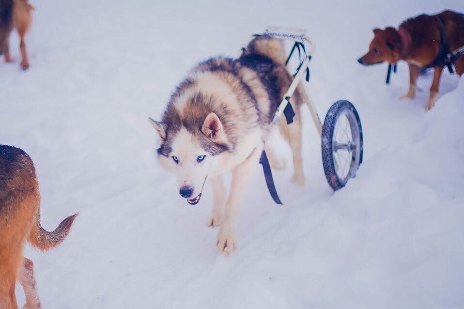 -2