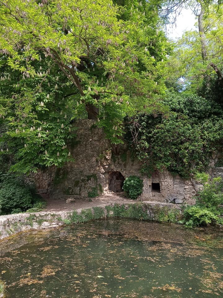 Парк максимова дача в севастополе фото