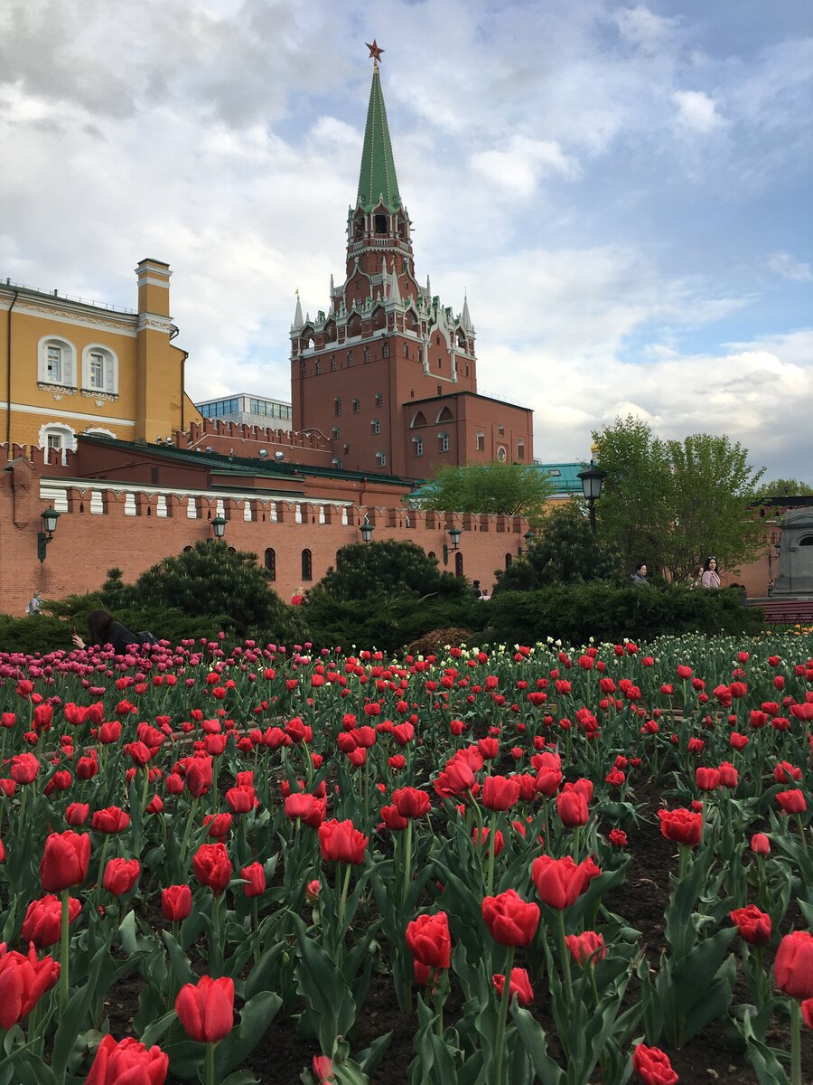 Москва в цвету