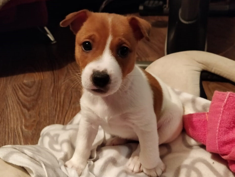 Она покорила мое сердце